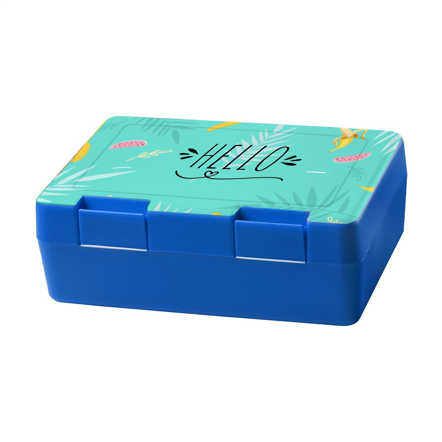 Dinner Box Lunchbox